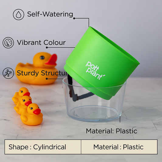 Are Self-Watering Pots Worth It? What Every Plant Parent Should Know