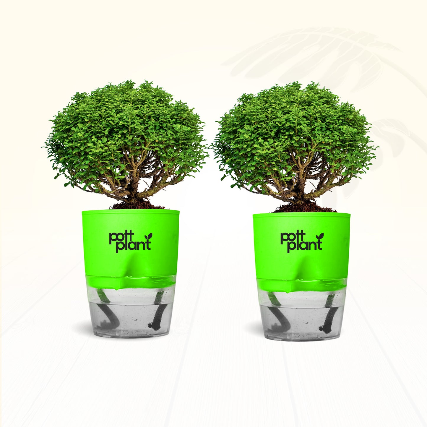 Table Kamini Plant Combo of 2 with Self Watering Pot – PottPlant